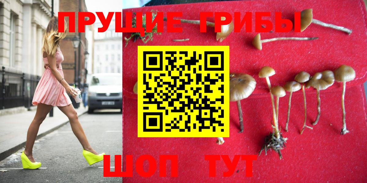 Псилоцибиновые грибы MAGIC MUSHROOMS  Вход с VPN  как найти закладки  Псилоцибиновые грибы Cubensis  Нягань 
